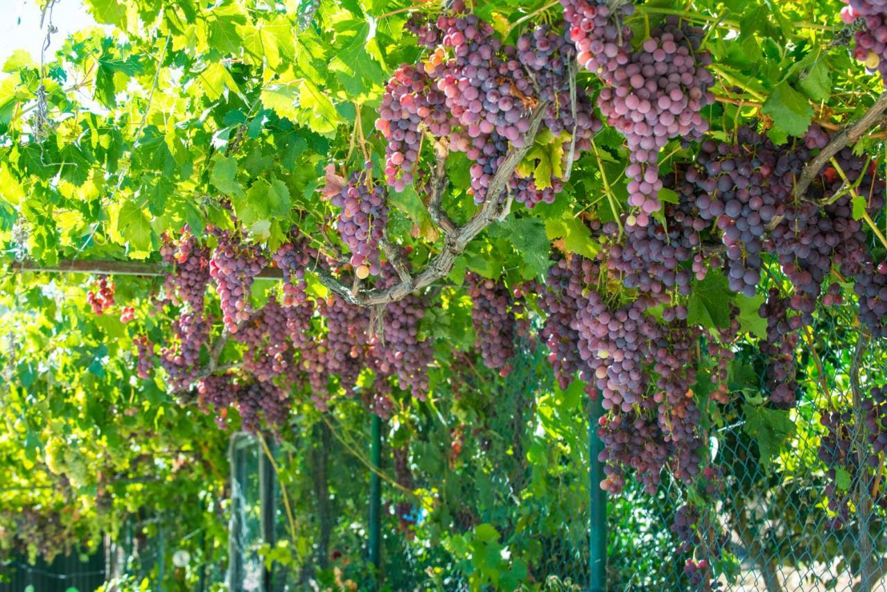 Вилла Quinta Montebelo Вила-Франка-де-Шира Экстерьер фото